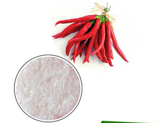辣椒碱.png